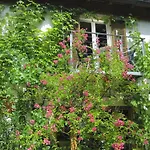 Apartamento Blaetterrausch Schwandorf in Bayern