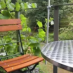 Blaetterrausch Schwandorf in Bayern
