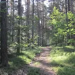 Apartamento Blaetterrausch *