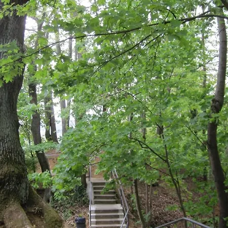 Blaetterrausch * Schwandorf in Bayern