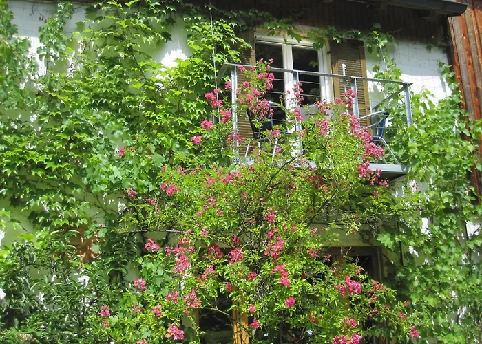 Lejlighed Blaetterrausch Schwandorf