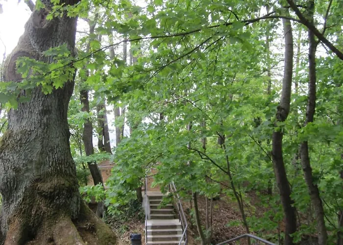 Blaetterrausch * Schwandorf