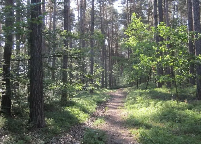 Lejlighed Blaetterrausch *